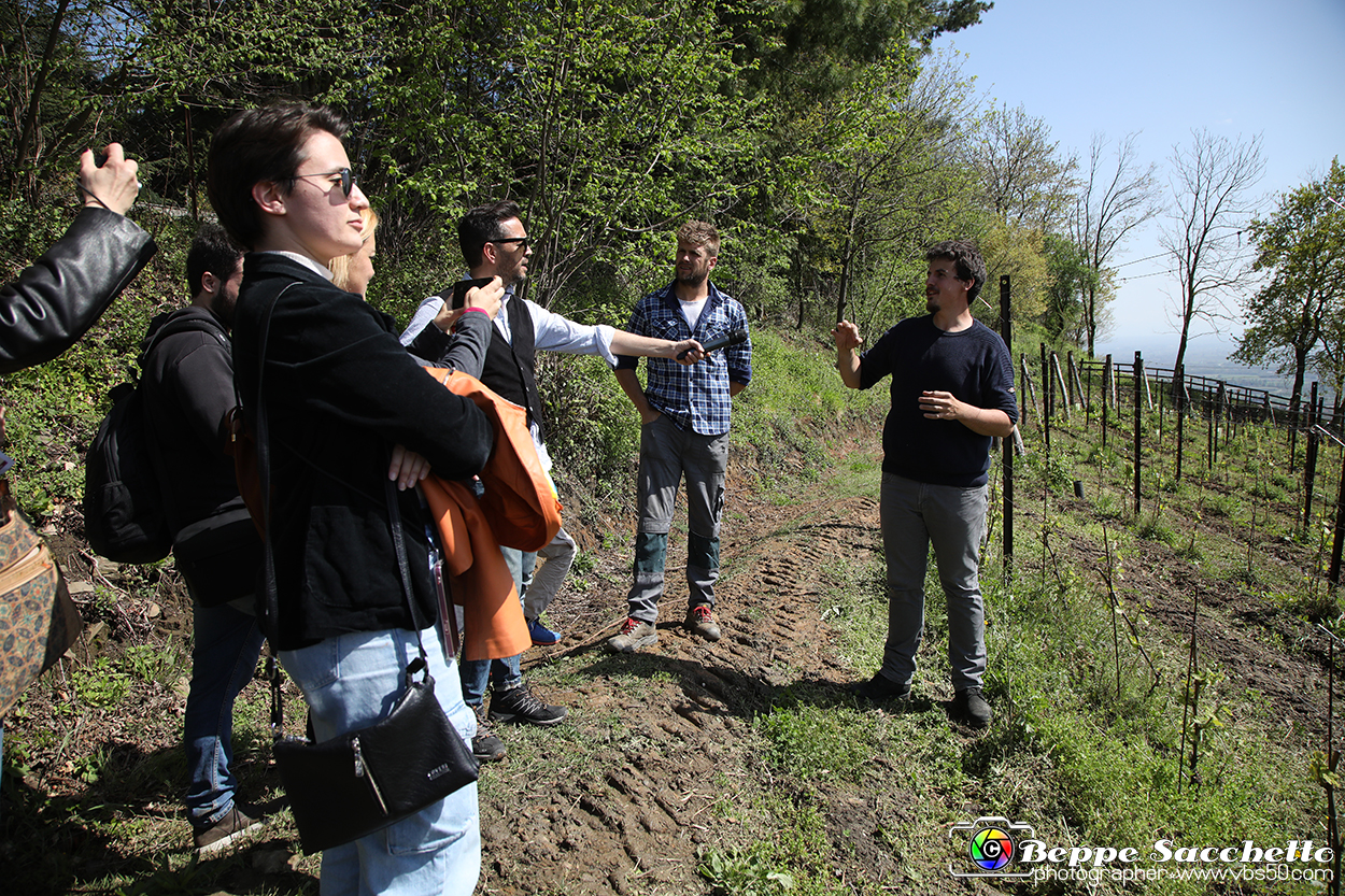 VBS_7439 - PressTour educational dedicato ai vini del Pinerolese e all’olio prodotto sulla collina di Pinerolo.jpg